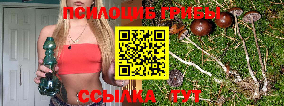 Дубна  Галлюциногенные грибы Cubensis  Вход с VPN 